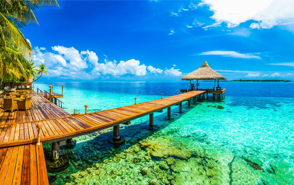 Voyages